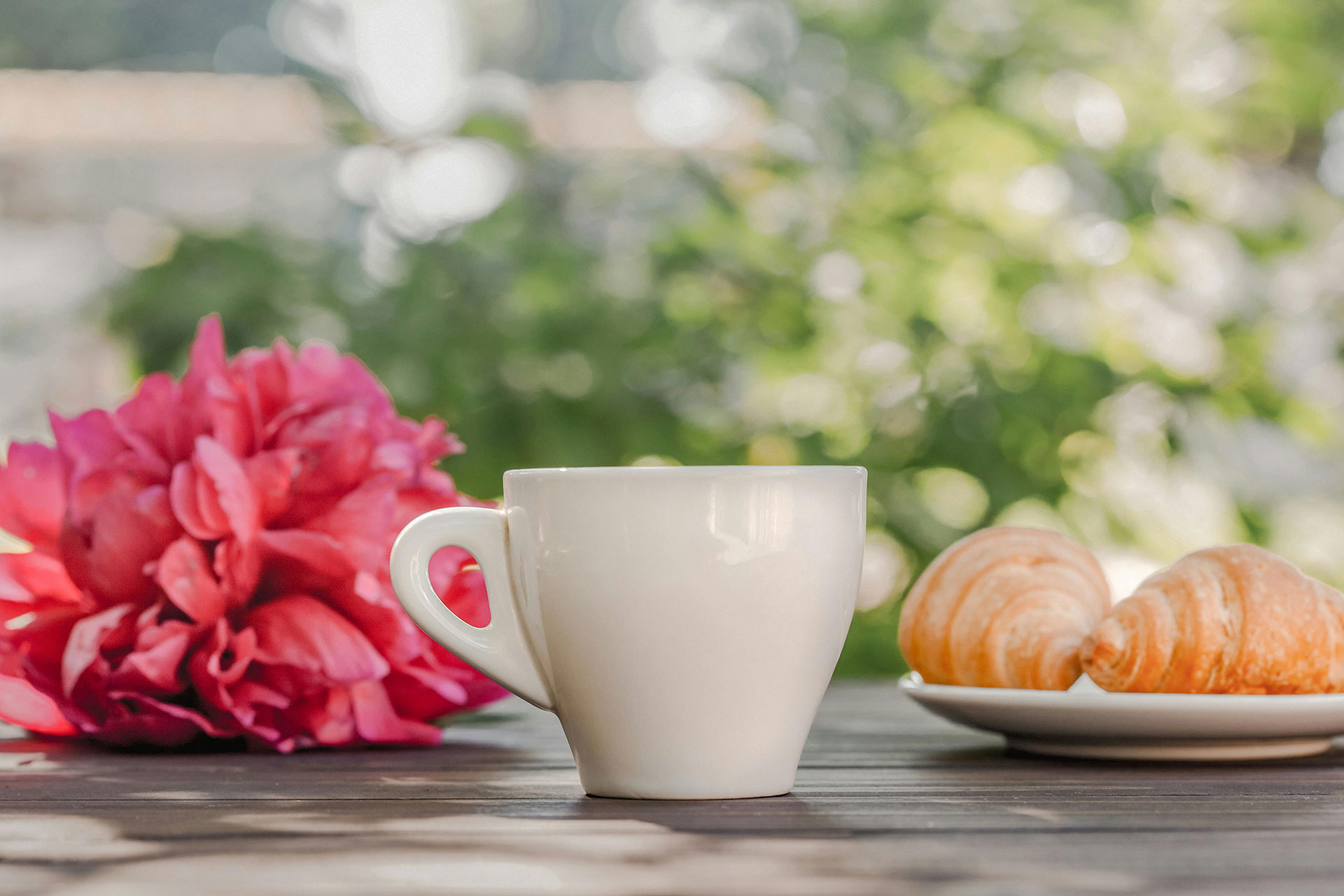 DIY living coffee table for your garden