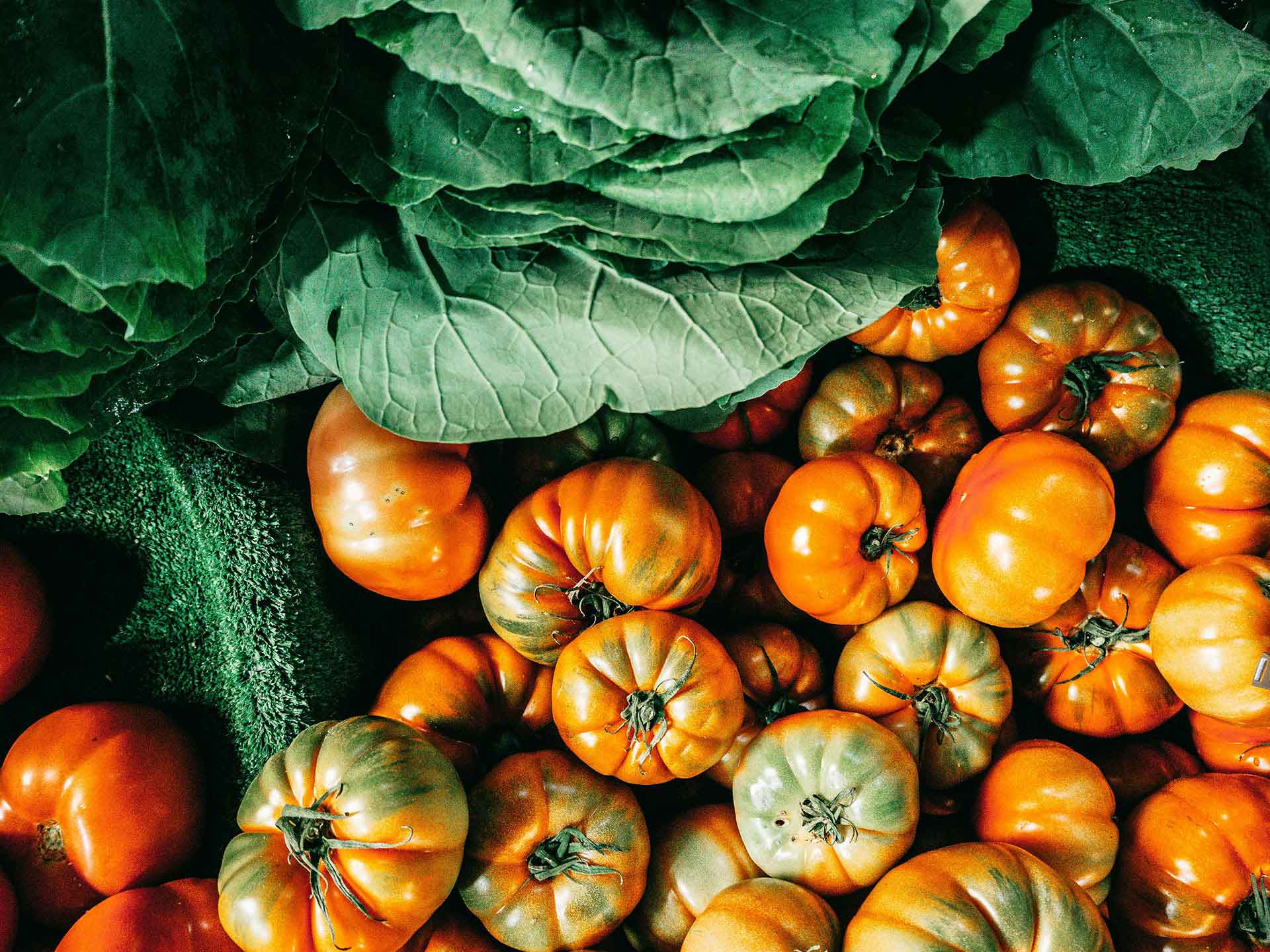 Storing Seasonal Items